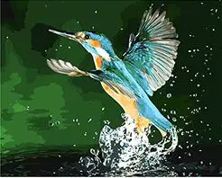 Цветная синяя птица Kingfisher Раскрашивание по номерам вручную на холсте для