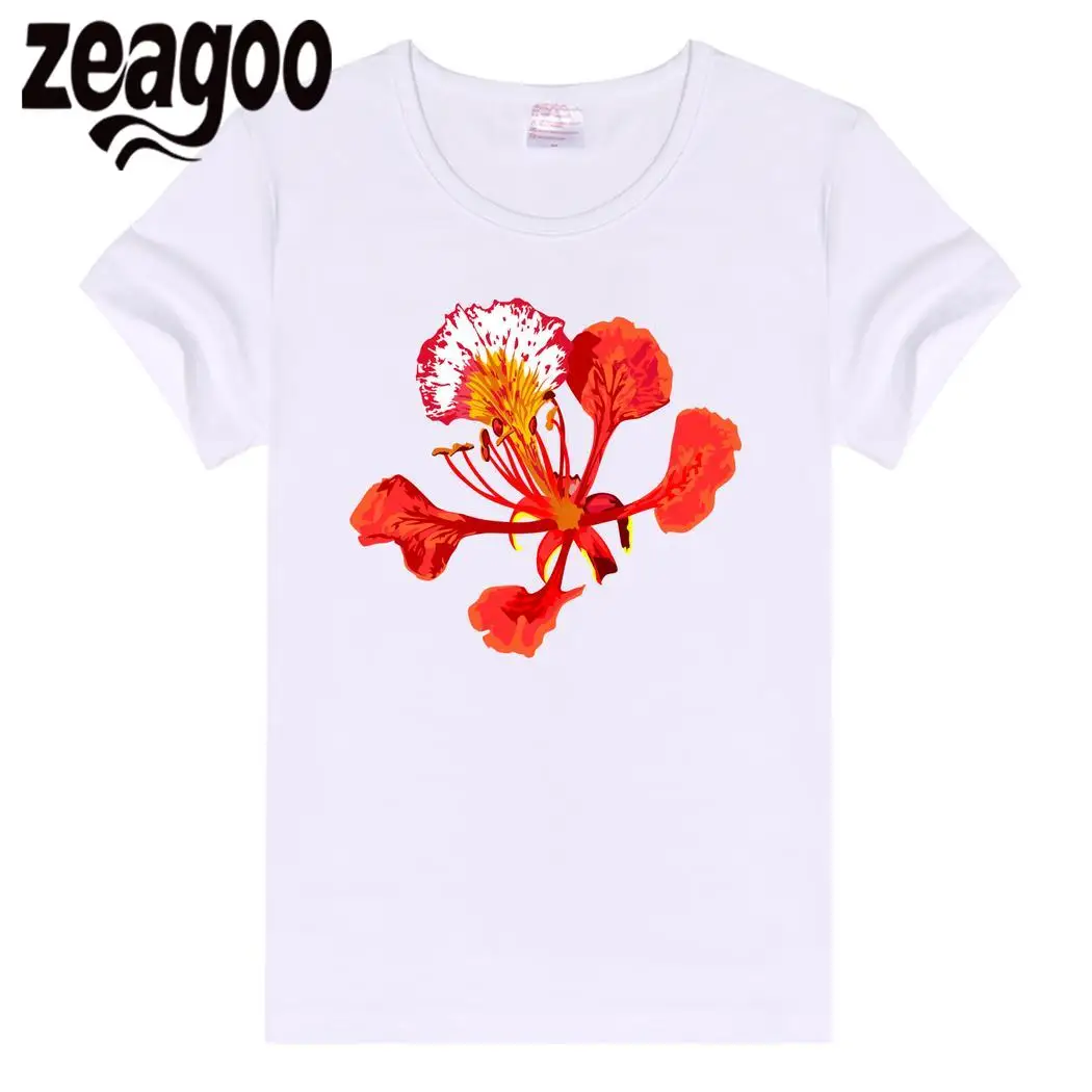 Zeagoo шеи Повседневное Основные Обычная экипажа Для женщин Slim Fit мягкий короткий
