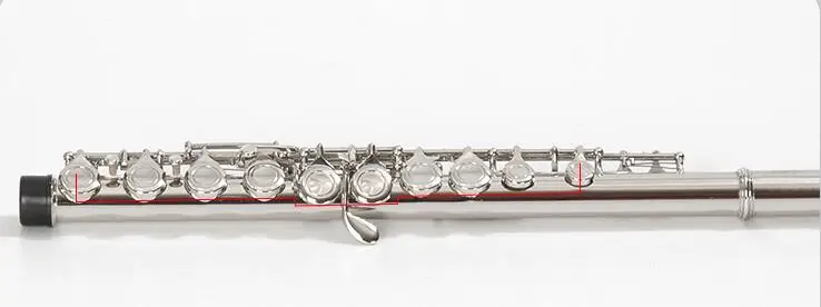 Играющая C-flat flute 17-hole C-tone E-key split никелированная instrument promotion | Спорт и развлечения