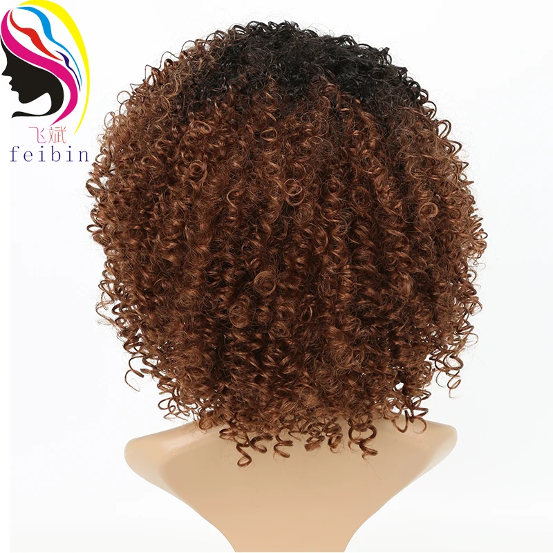 

Feibin Afro Kinky Wig Curly Wigs Synthetic Short Wig for Black Women Short Hair Ombre Hair 14 Inch