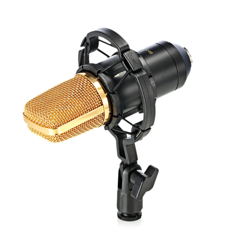 LEIHAO BM 700 Professional конденсаторный микрофон для радиовещания пение вокальный запись