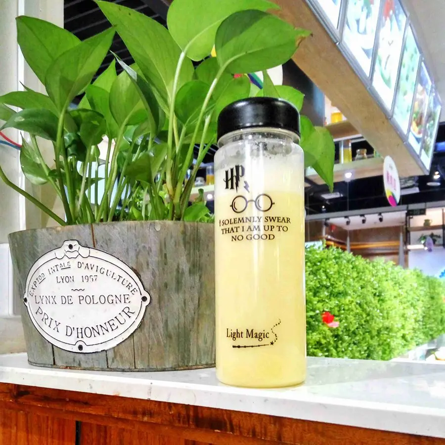 Простая летняя бутылка для воды 500 мл экологически безопасная путешествий спорта