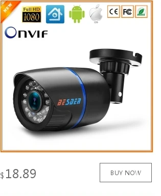 Besder DC12V/POE48V 1080P рыбий глаз VR ip-камера панорамная 180 электронная PTZ Onvif электронная сигнализация P2P CCTV наружная камера