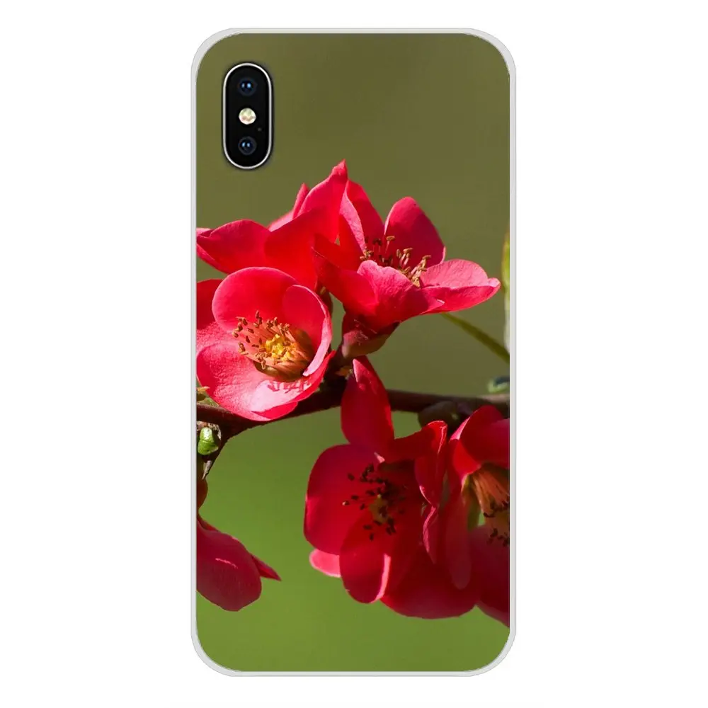 Красные цветные весенние Аксессуары для девочек чехлы Samsung A10 A30 A40 A50 A60 A70 Galaxy S2 Note 2