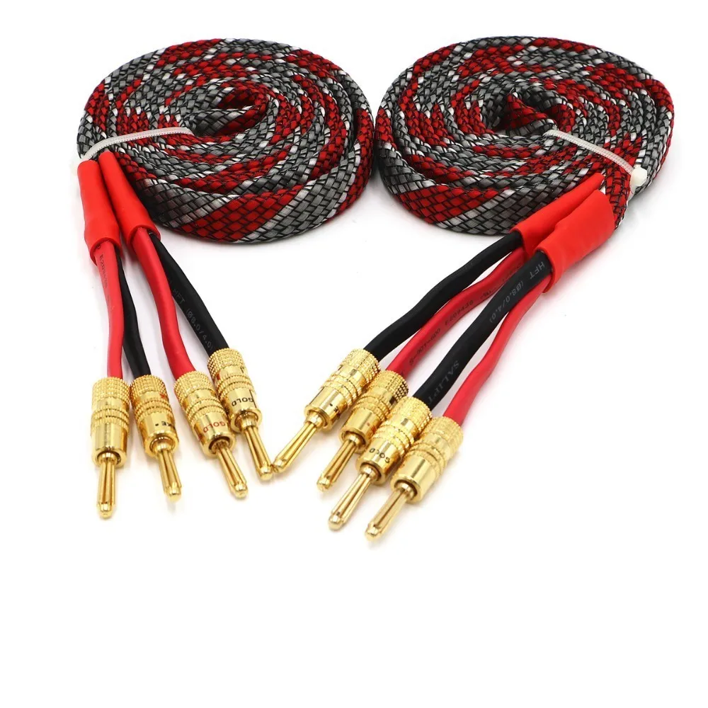 2 канала 4 мм контрольные выводы вилки типа банан усилитель спикер аудио линия 5N