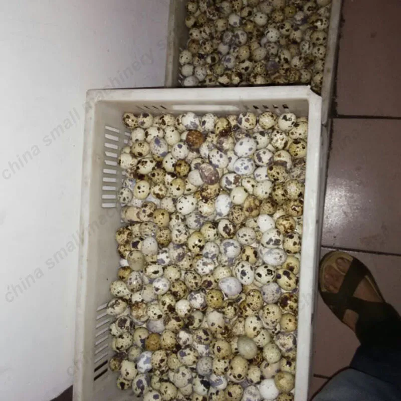 Новейший дизайн Высокоэффективная практичная Бытовая Автоматическая