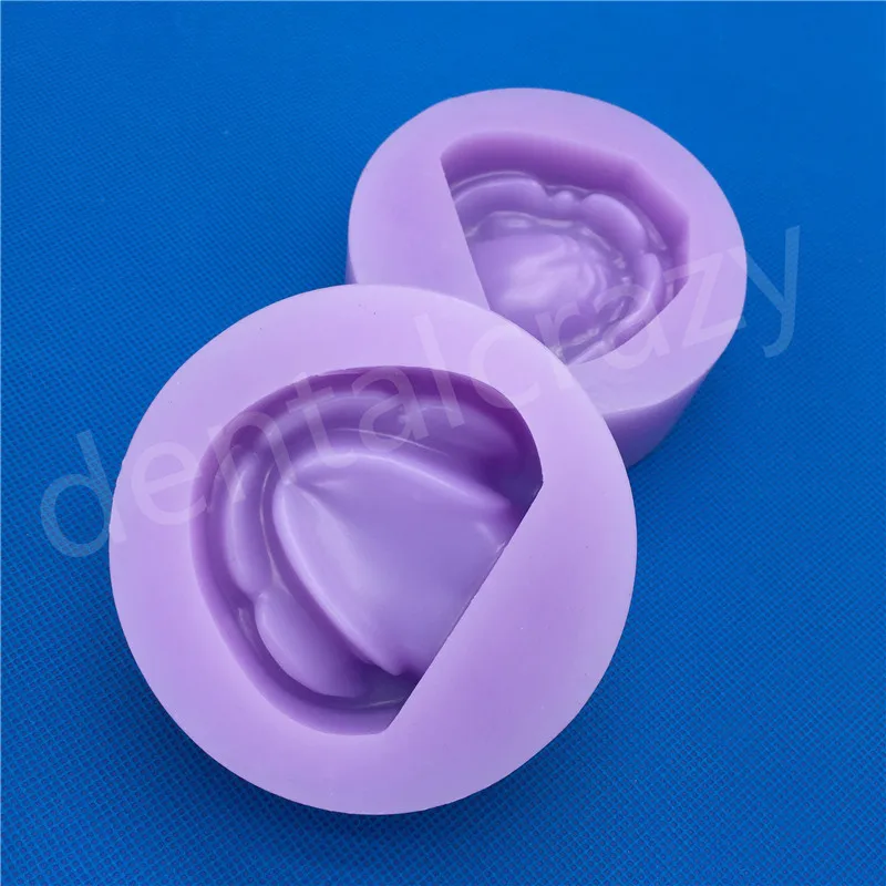 Гипс стоматологический модель формы Edentulous Jaw Base Silicon Complete Block-фиолетовые