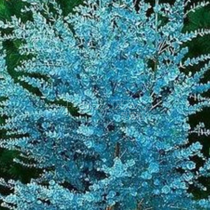 20 впечатляющие сидр десен Эвкалиптового дерева Семена Великолепная редких Цвет