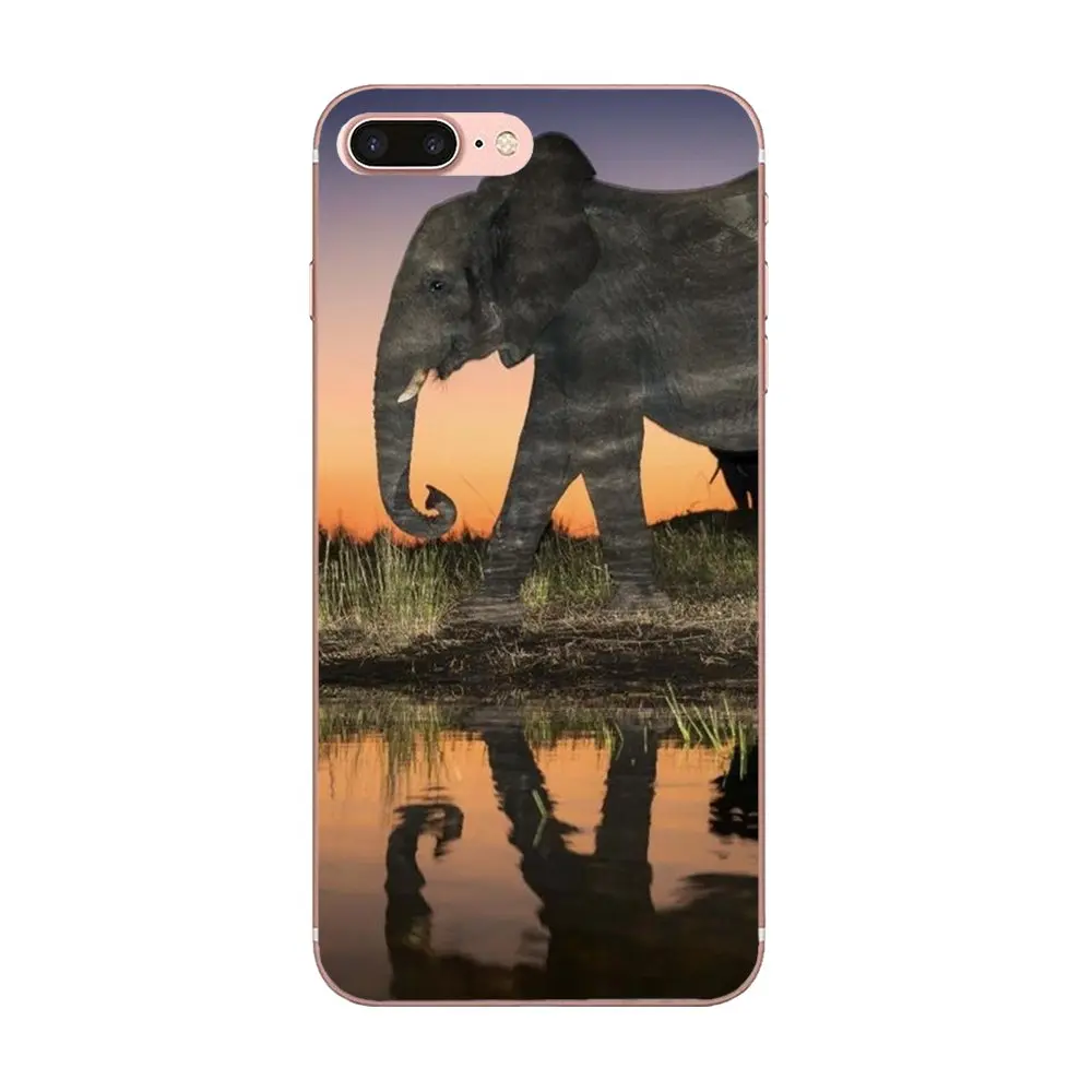 Мягкие чехлы для мобильных телефонов из ТПУ милый индийский слон Apple iPhone 4 4S 5 5C 5S SE