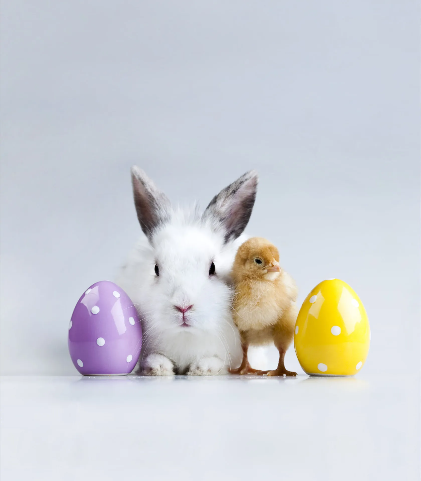 Комплект постельного белья для детей и взрослых HD набор с цифровым 3D рисунком