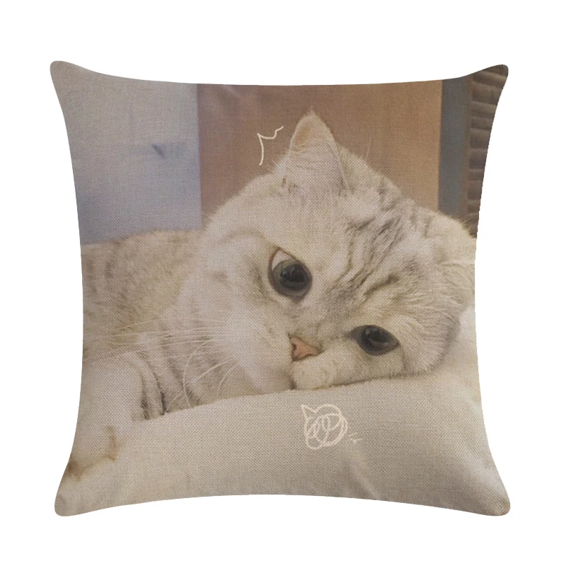 45*45cm Most Popular Cartoon Kitty Animal Pattern Cushion Cover Suitable for Home Decoration Comfortable Square Sofa Pillowcase |