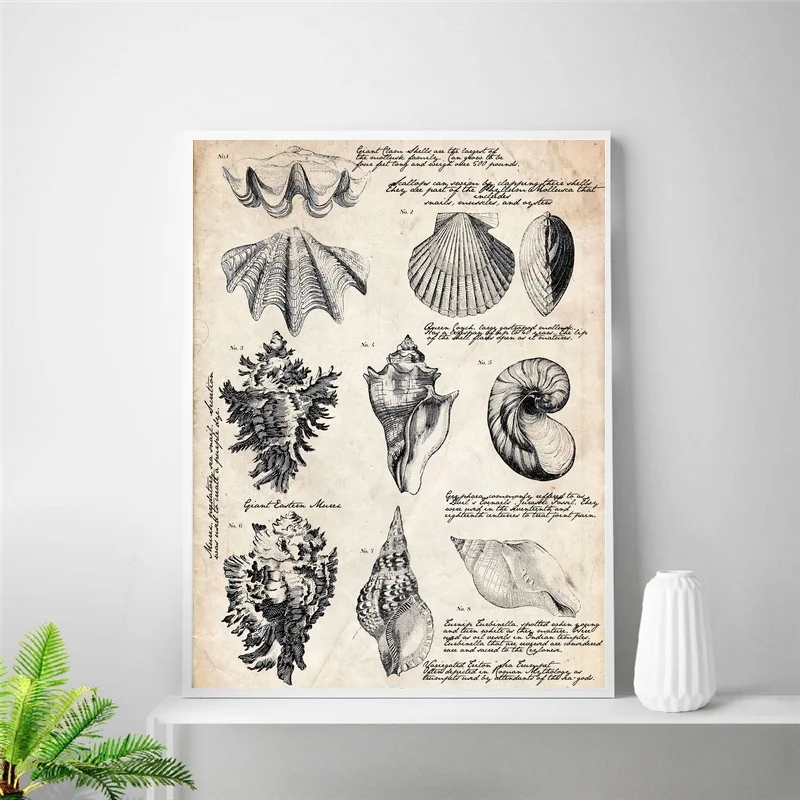 Винтажный Шелковый постер с морскими ракушками Haeckel домашний декор 24x32