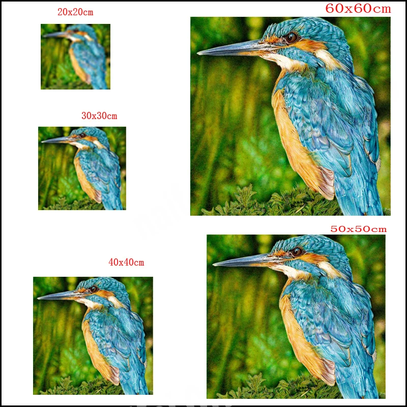 5D полноразмерная/круглая алмазная живопись сделай сам Птица KingFisher 3D вышивка