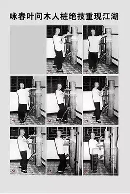 Обучающая книга Wing Chun китайская кунг-фу обучающая экшн-книга |