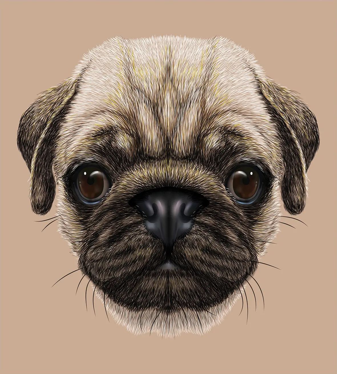 

Pug Duvet Cover Set Twin Size Detailed Portrait Drawing of a Dog Realistic Design of The Pet Animal Digital Art Decorative