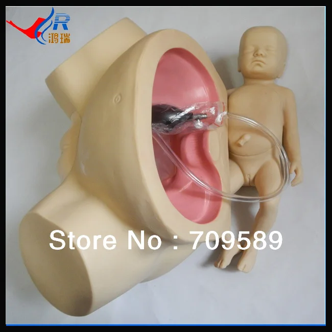 

Newly Advanced Difficult Childbirth Simulator
