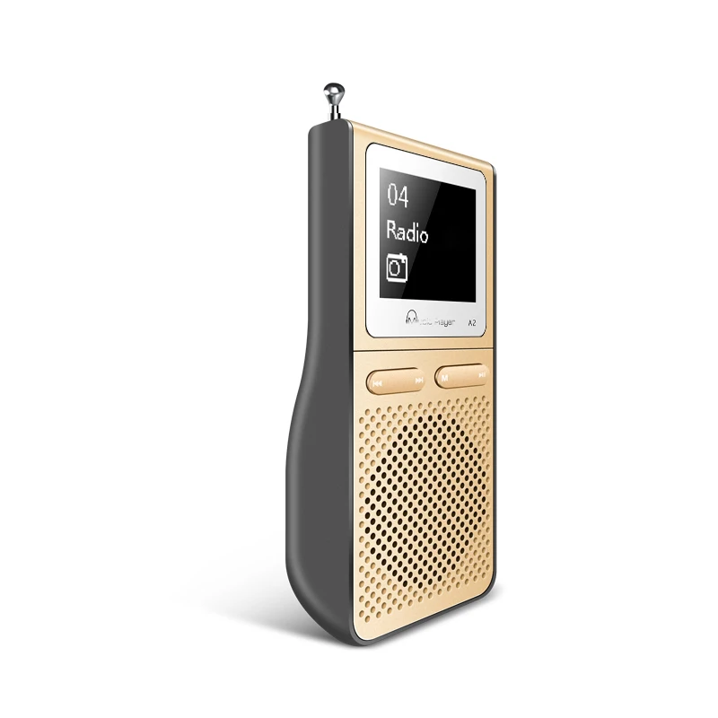 IQQ HIFI MP3 музыкальный плеер портативное радио 8 Гб воспроизводитель mp3 встроенный