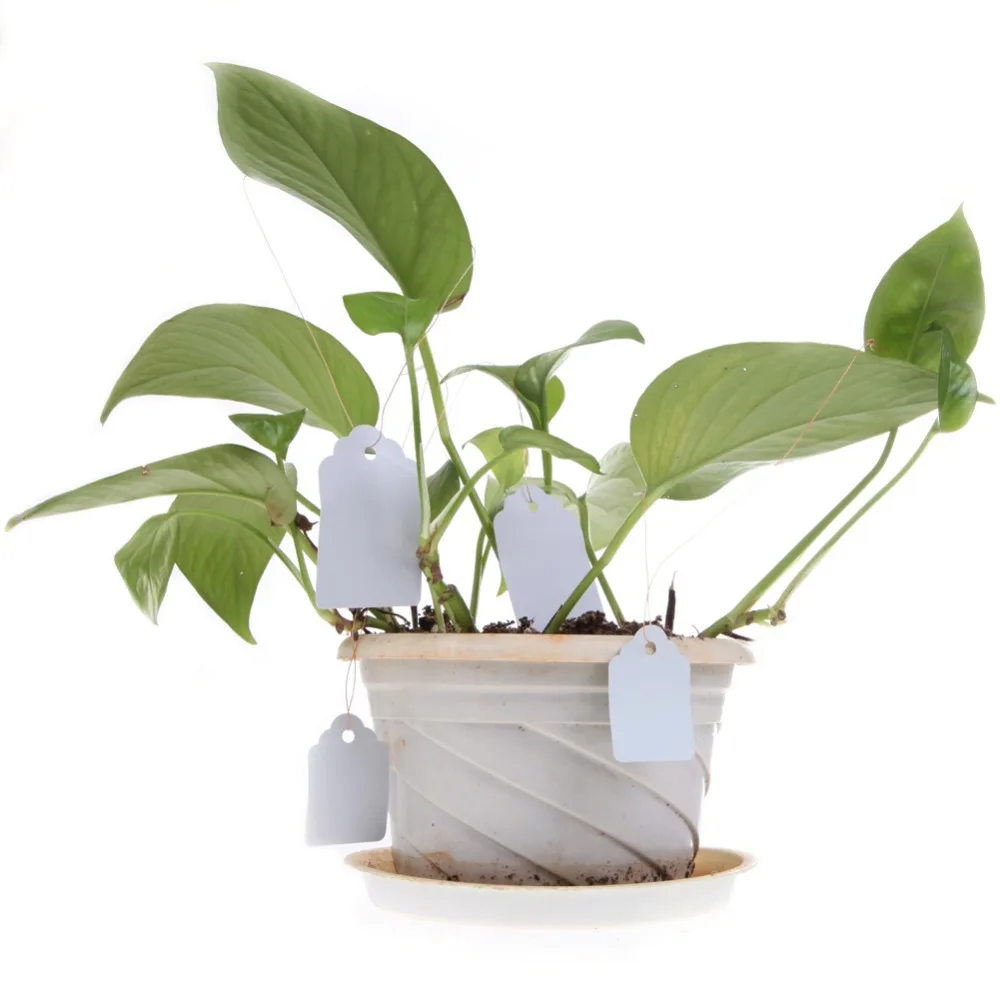 100 шт. пластиковые этикетки для растений бирка садовые украшения наклейки