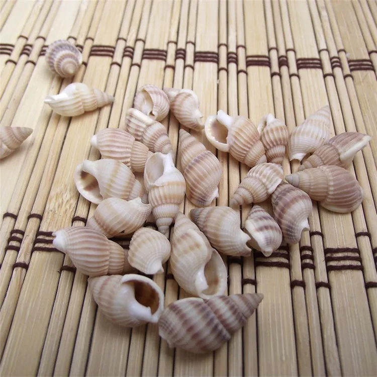 Натуральная раковина самодельный аквариум украшение для дома желтая sallei около 1