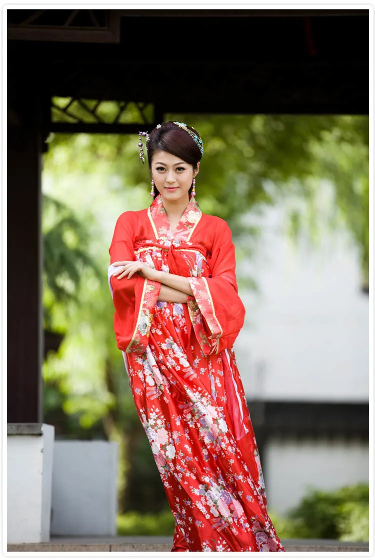 New Chinese Ancient Clothing Hanfu Skirt Hanfu Women's Skirt Costume Hanfu Double-breasted Dress