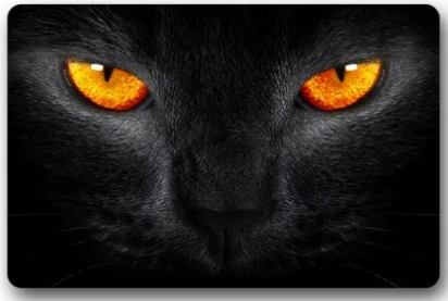 Hot Sale Custom Cool Big Glitter Eye Cat Door Mat Art Design Pattern Printed Carpet Floor Hall Bedroom Pad Fashion Rug E221 |