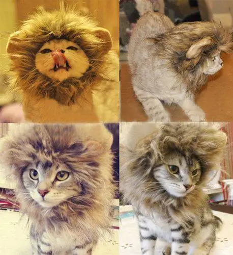 TPFOCUS универсальный костюм для домашних животных парик с львиной гривой кошки