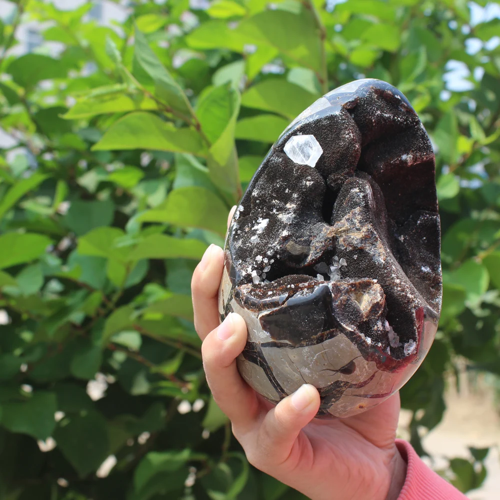 1510g Natural curvature of the furnishing articles Turtle grain stone egg Ball Septarian nodule Fossil Crystal Healing quartz | Дом и сад