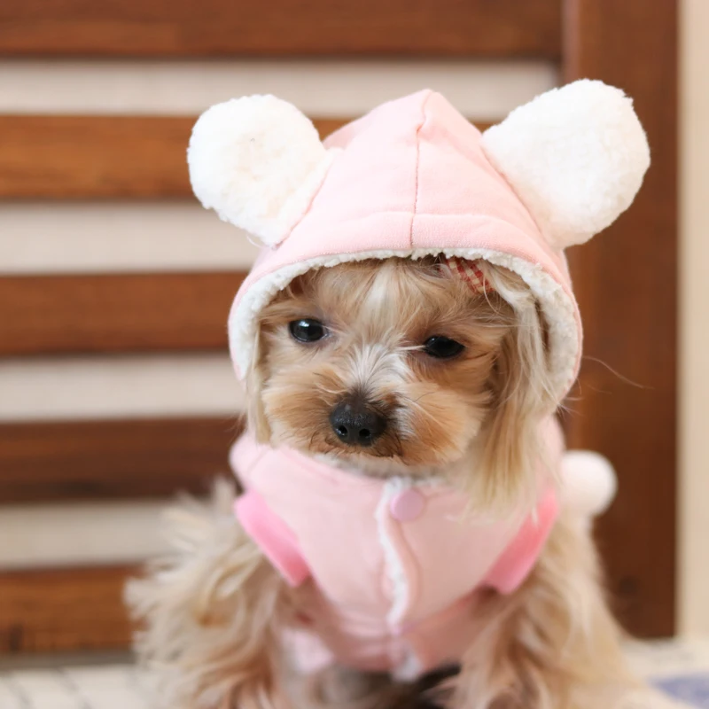 Little Balls Lovely Ear Yorkie Fleece Thick Coat Jackets Hoodies Clothing Chihuahua Dogs Products Pet Cats Autumn Winter 17ZF162 | Дом и сад
