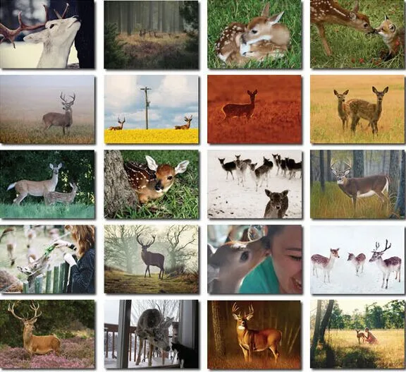 Новая Винтажная красивая открытка с оленем 32 шт./лот | Дом и сад