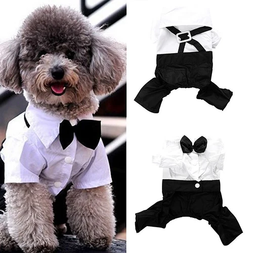 2016 Hot item! Pet Dog Cat Clothes Prince Tuxedo Bow Tie Suit Puppy Costume Jumpsuit Coat S-XXL 456fwr32 | Дом и сад