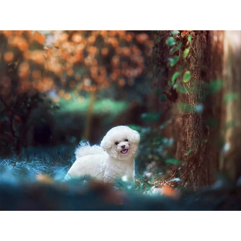 

Full square/Round drill Diamond embroidery cute dog 5D DIY diamond Painting Cross Stitch Rhinestone Mosaic decor HY