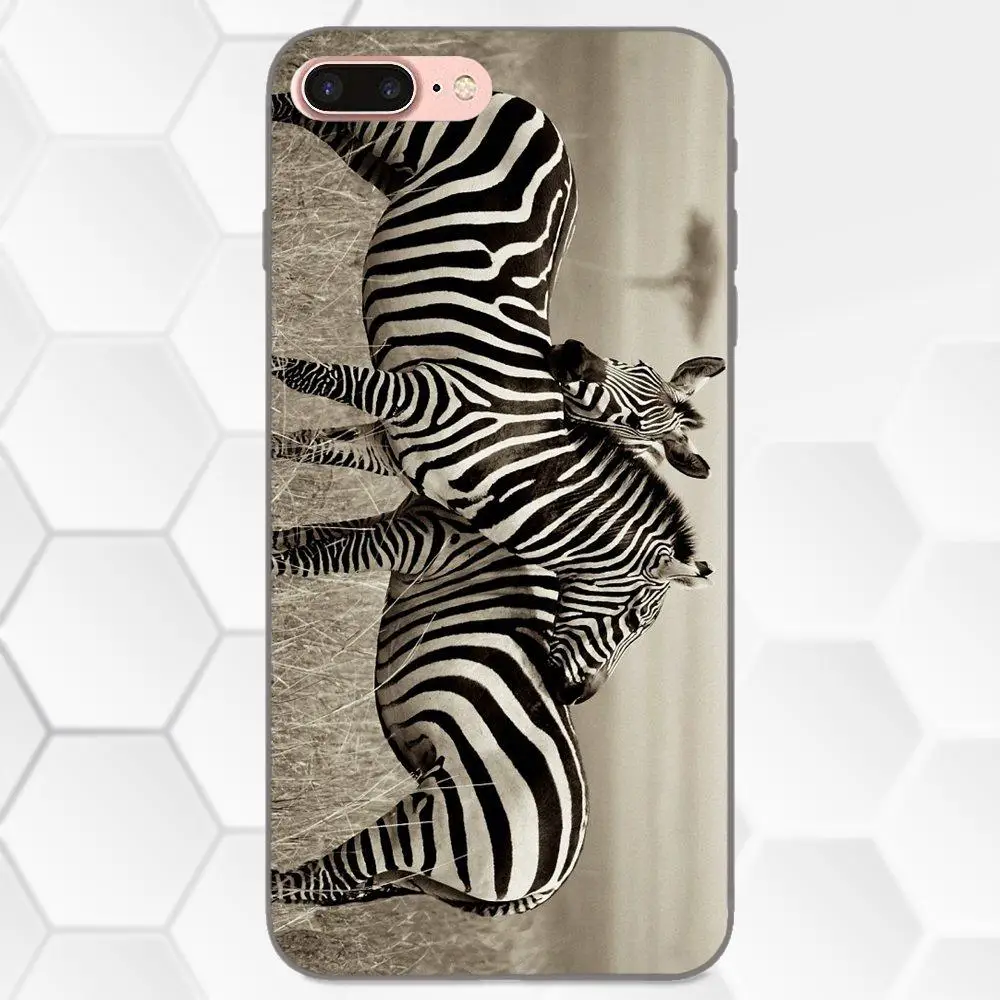 TPU Live Love Phone Zebra Horse для Galaxy C5 C7 J1 J2 J3 J330 J5 J6 J7 J730 2017 Ace Core Duo Max Mini Plus Prime Pro|Бамперы| |