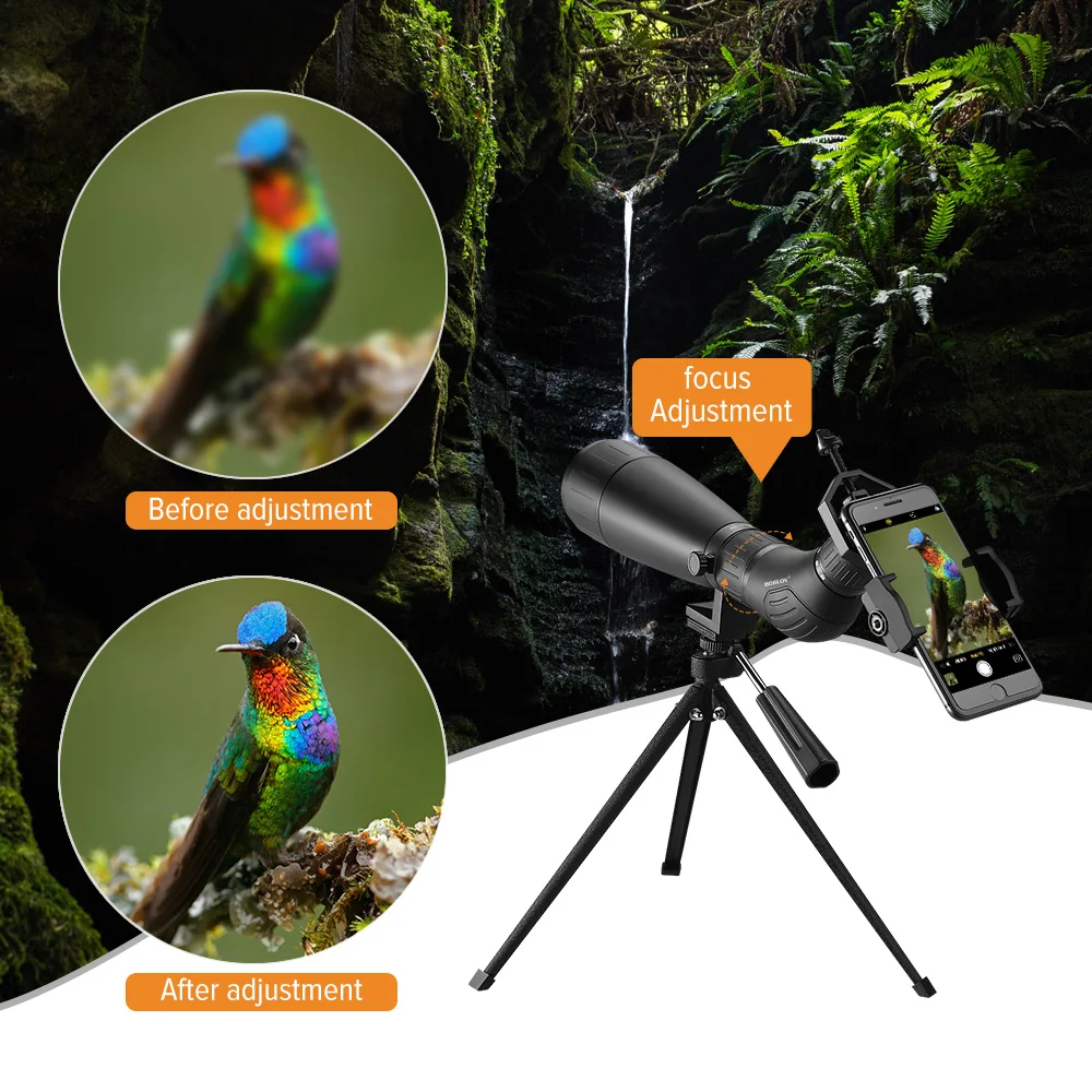 BOBLOV B60HD 20-60X60 Зрительная труба Водонепроницаемая BAK4 призма+ крепление для телефона со штативом для стрельбы по мишени