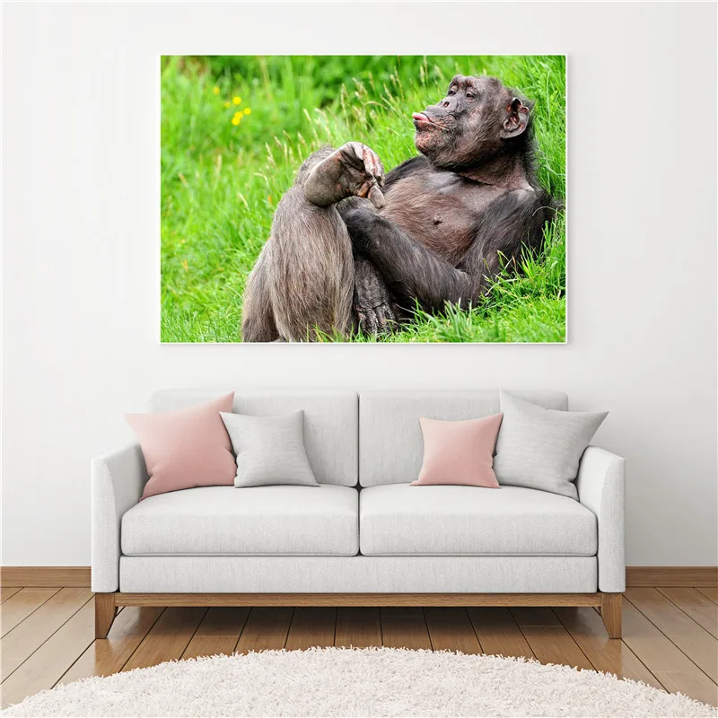 Настенные картины на холсте забавные постеры с обезьянами принты питьевой водой