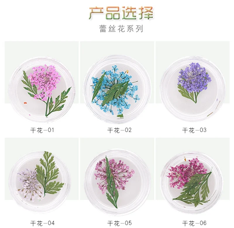 6 colors 01 to 06 4 горшка, свежие ногти, Натуральные сушеные цветы для УФ-геля, УФ-гель для дизайна ногтей, Типсы для украшения ногтей, принадлежности для ногтей, инструмент - Цвет: 6 colors 01 to 06
