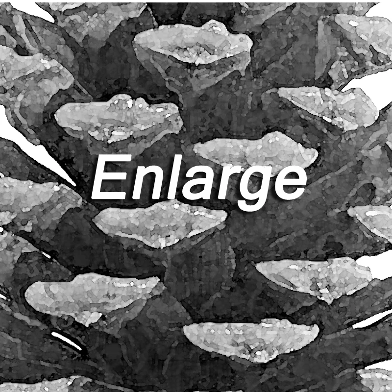 Настенная живопись на холсте настенные картины для гостиной Скандинавское