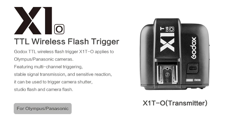 Godox Thinklite TT600 2,4G Беспроводной GN60 Master/Slave Камера Вспышка Speedlite для Olympus Panasonic+ с X1T-O ttl передатчик