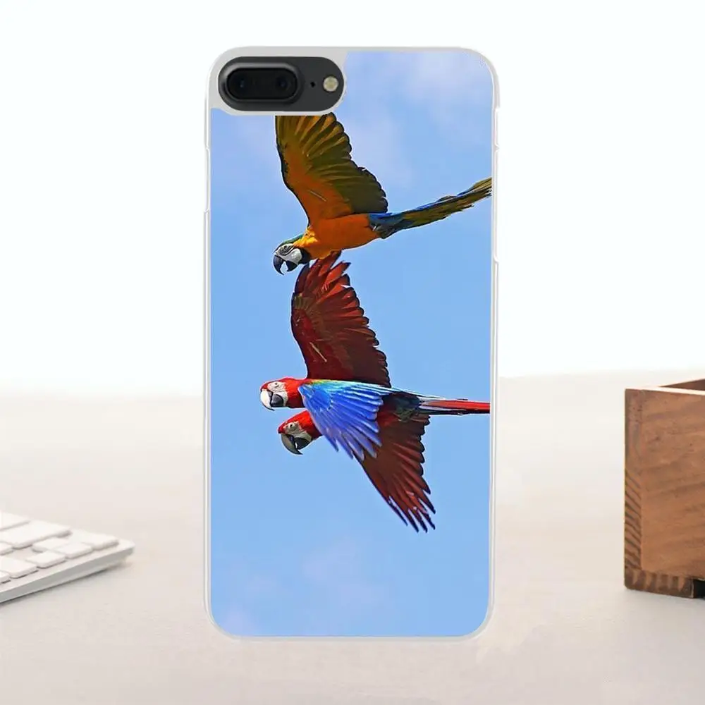 Bixedx Blue Ringneck Parrot для Galaxy Alpha Core Note 2 3 4 S2 A10 A20 A20E A30 A40 A50 A60 A70 M10 M20 M30 TPU Mobile Shell|Бамперы| |