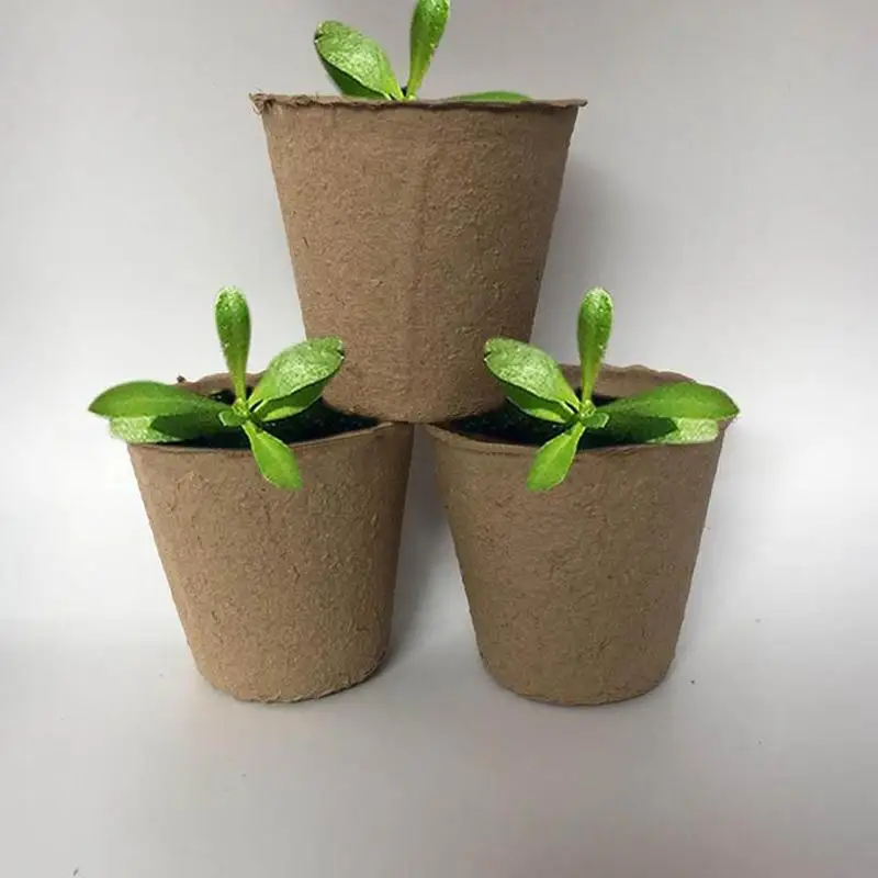 10Pcs Round Biodegradable Paper Pulp Peat Pot 8x8cm Plant Nursery Cup Tray Vegetable Fruit Garden Drop ship | Дом и сад