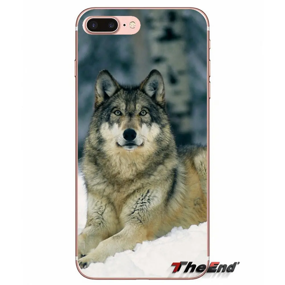 Аксессуары для телефонов с изображением волка iPhone X 4 4S 5 5S 5C SE 6 6S 7 8 Plus Samsung Galaxy J1 J3 J5