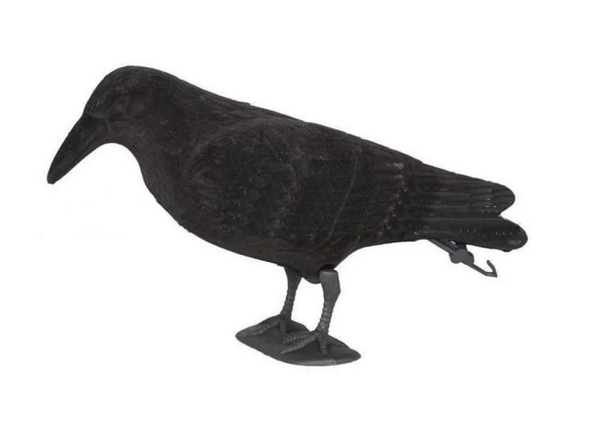 Флокирование ворон охота моделирование имитация приманки blackbirds Отпугивание