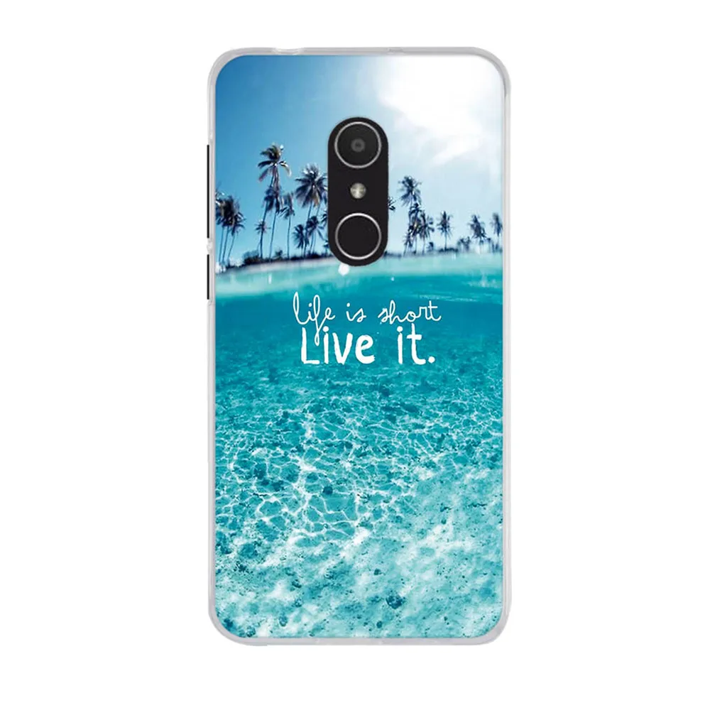 Чехол для Alcatel 1X 5059D 5059X 2018 чехол из мягкого ТПУ задней панели телефона 1 X 5059d с