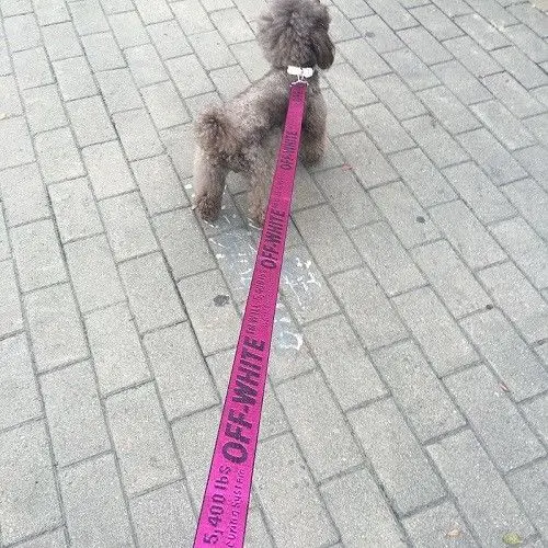 Модный нейлоновый поводок и ошейник для собак с регулируемым принтом a02