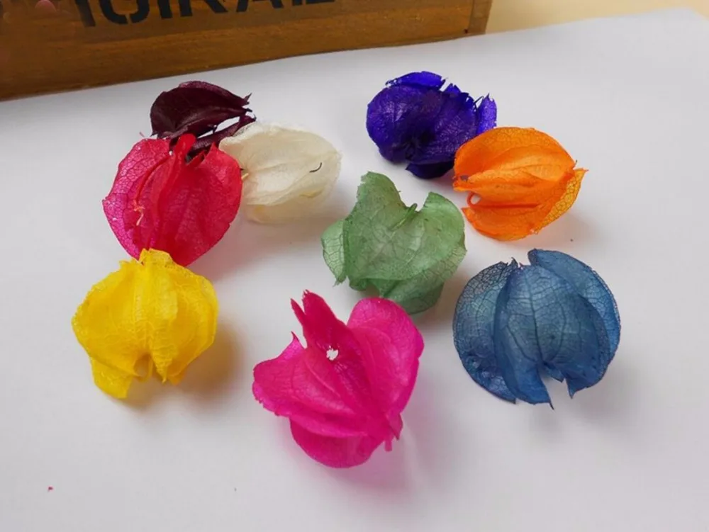 100 шт. букет из гусиных ягод| |