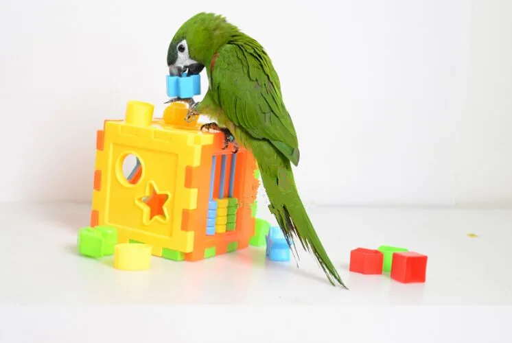 Животные птицы Попугай Игрушка товары для птиц головоломка игрушка попугая