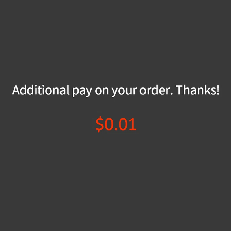 Extra fee payment link not a product |