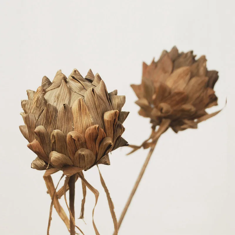 2 шт. натуральная питая с веточкой сушеный цветочный цветок для свадебного