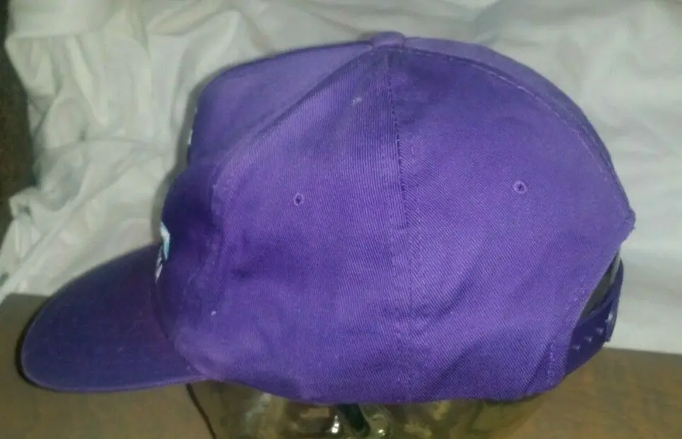Напечатанный Snapback Skagway Аляска шляпа бейсболка Бейсбол Кепки | Аксессуары для