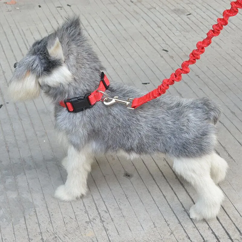 

E48 New arrival Buffered pet dog collar and leashes set for small & medium dogs