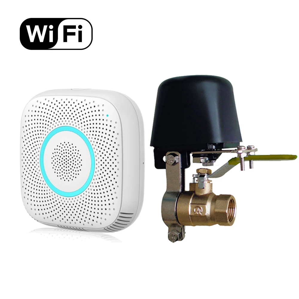 Электрический Домашний Wi Fi театр Ipg газа детектор внутренней безопасности